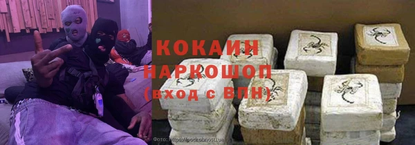 ГАЛЛЮЦИНОГЕННЫЕ ГРИБЫ Аркадак