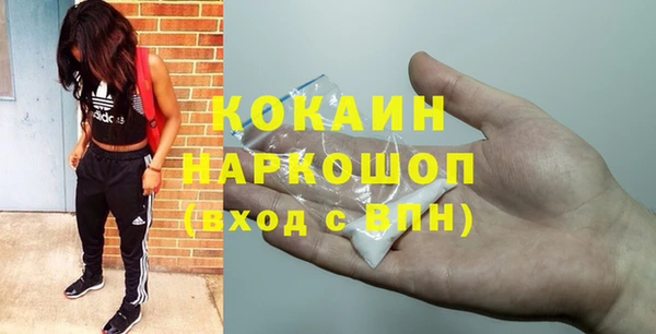 ГАЛЛЮЦИНОГЕННЫЕ ГРИБЫ Аркадак