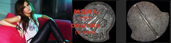 ГАЛЛЮЦИНОГЕННЫЕ ГРИБЫ Аркадак