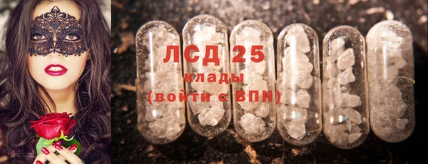 ГАЛЛЮЦИНОГЕННЫЕ ГРИБЫ Аркадак