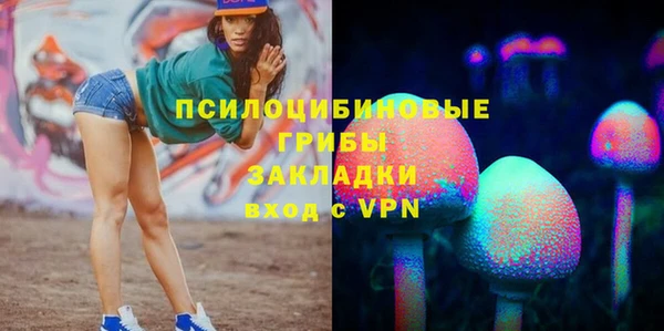 ГАЛЛЮЦИНОГЕННЫЕ ГРИБЫ Аркадак
