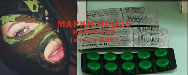 ГАЛЛЮЦИНОГЕННЫЕ ГРИБЫ Аркадак