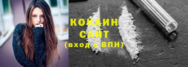 ГАЛЛЮЦИНОГЕННЫЕ ГРИБЫ Аркадак